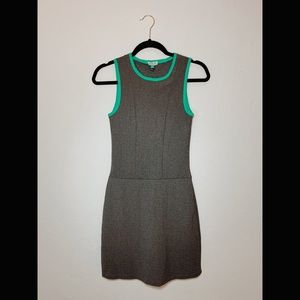 Super Brand • Fitted Gray Dress